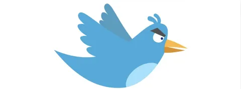 Twitter ne lutte plus contre la désinformation liée au Covid, au contraire Elon Musk rétablit tous les comptes suspendus