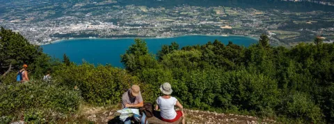 Point épidémio de la semaine, tout roule sous nos latitudes