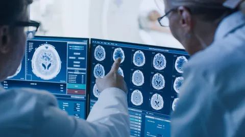 D’une algue au cerveau : l’étonnante histoire du Nobel de médecine 2026