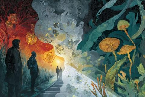 The Last of Us » : le « Cordyceps », menace fictive, réel atout thérapeutique ?