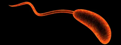 La RDC (Congo), victime de « la pire crise de choléra » depuis 2017, déjà plus de 30 000 cas dont 8 000 enfants