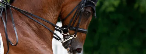 1 000 recommandations, 642 prescriptions, 193 injonctions et 3 saisines du procureur en seulement 600 établissements contrôlés, le gouvernement serre la bride aux Ehpad