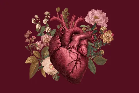 La nouvelle pompe d'assistance cardiaque d'une start-up française brillamment implantée sur un premier patient