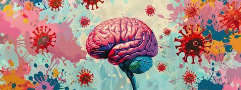 Covid-19 : comment le coronavirus détruit des neurones essentiels pour la fertilité et la cognition