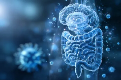 Cerveau, virus, intestin : le Covid a-t-il déréglé nos ventres ?