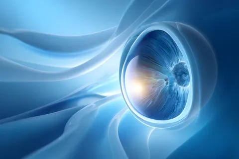 DMLA : un nouveau candidat lipidique plus efficace que le DHA dans un modèle murin