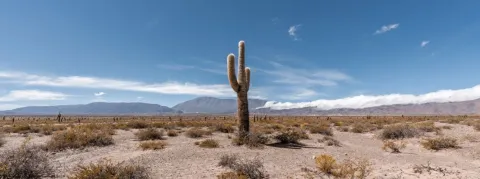 Déserts médicaux, dépassements d’honoraires, l’UFC-Que Choisir s’en prend aux médecins