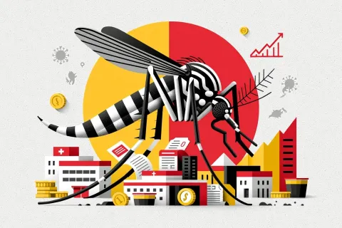 Dengue, Zika, chikungunya : les moustiques invasifs coûtent des milliards, la prévention reste à la traîne
