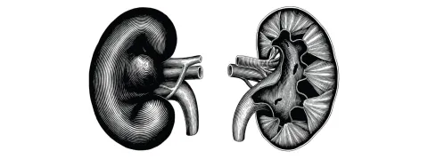 Des dialyses en urgence pratiquées sans nécessité médicale à Nancy, une plainte déposée