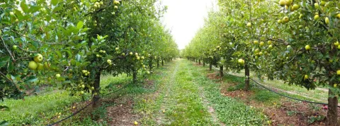 Doctolib qui équipe 50% des médecins libéraux et 30% des hôpitaux n’est pas encore rentable
