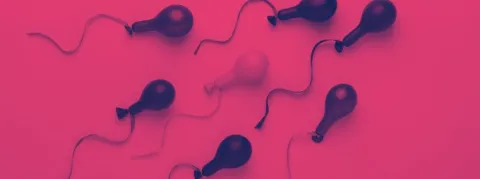 Déjà 170 enfants nés d’un don de gamète, demandent l’identité du donneur