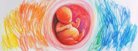 Les embryons, issus d'un don anonyme de gamètes, seront finalement préservés