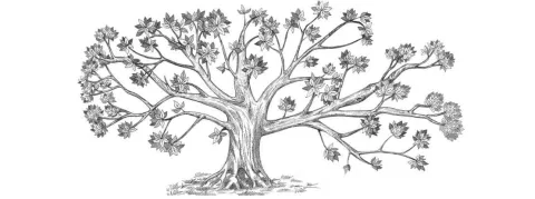 Aurélien Rousseau, un nouveau ministre de la Santé, au cœur du pouvoir 