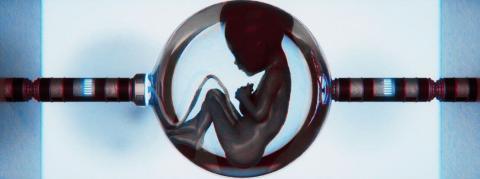Des “embryons” humains entièrement créés en laboratoire, pour la recherche sur la stérilité