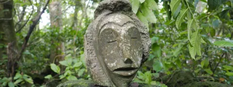 La Guinée équatoriale annonce 9 morts dans une épidémie de fièvre hémorragique de Marburg