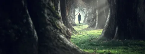 Le débat sur la fin de vie s’achève, certains médecins s’inquiètent déjà : « L'euthanasie et le suicide assisté ne peuvent pas être considérés comme des soins »
