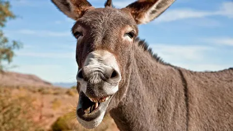 Applis santé : les étudiants n'osent pas s'en servir