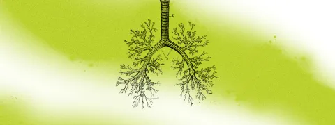 Carbone : On fait le bilan ! 