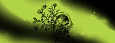 Les tuyaux verts se transmettent (aussi) par le bouche-à-oreille