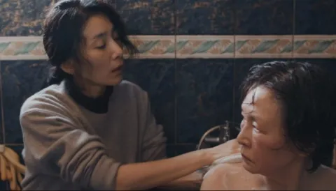 Faucheuse de troubles