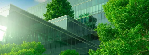 Les hôpitaux français à l'heure de la transition écologique… quel défi !