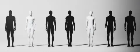 Pourquoi les hommes n’ont-ils pas d’os dans le pénis (contrairement aux singes) ?