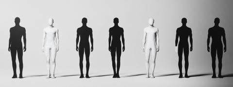 Pourquoi les hommes n’ont-ils pas d’os dans le pénis (contrairement aux singes) ?