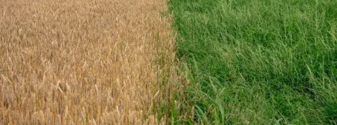 IA en santé : comment distinguer le bon grain du bullshit ?