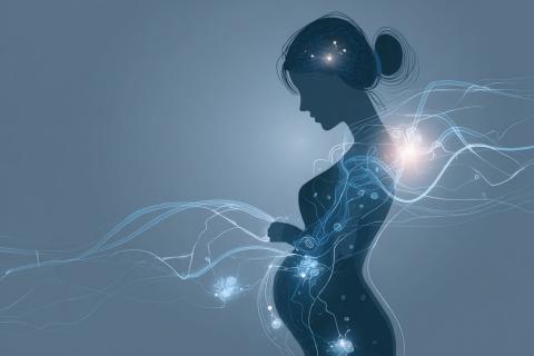 Édulcorants pendant la grossesse : un impact sur le cerveau des bébés