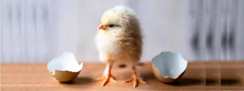 Un incubateur de cabinets médicaux de généralistes libéraux, à l’hôpital de Saint-Amand