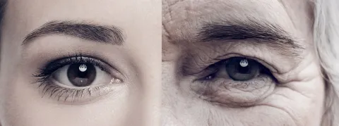 Est-on plus mort du Covid en banlieue ou dans les quartiers chics ?