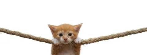 La grippe s’accroche à la France 