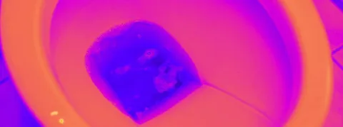 Le microbiote urinaire, la clé du développement de nouvelles stratégies préventives, diagnostiques et thérapeutiques ? 