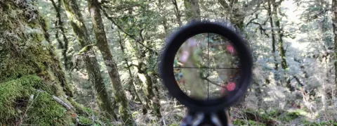 Les cigarettes électroniques "puffs" dans le viseur de François Braun