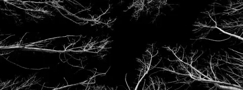 Les familles, conjoint, enfants face au stress post-traumatique des militaires