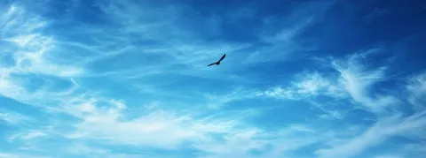 Avec ce nouveau gouvernement, la loi sur la fin de vie est plus mal partie que jamais