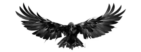 Un homme soupçonné de faire chanter des milliers patients en révélant les données de leur psychothérapie, arrêté par hasard 