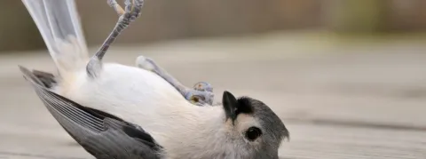 « Des médicaments de tous les jours deviennent de plus en plus difficiles à trouver », reflet d’un modèle économique qui bat de l’aile 