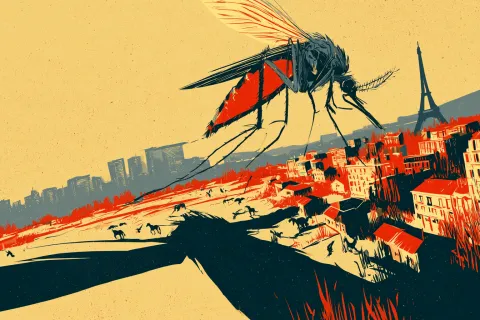 Une troisième personne est décédée du virus du Nil occidental en Île-de-France