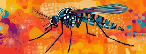 Moustique tigre : il existe un "risque assez élevé" d'épidémies dans l'Hexagone d’ici 5 ans !