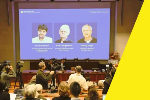 Commander les neurones avec la lumière : trois pionniers de l’optogénétique décrochent le Nobel de médecine