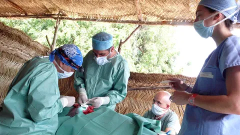 Lampe frontale et cérémonie diagnostique