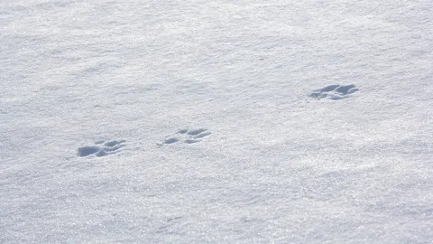 Les médecins quittent la permanence des soins à pas de loup