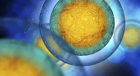 PMA : « Tout ce que nous pouvons faire, c'est conseiller »