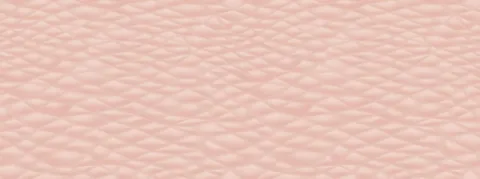 À la recherche de la peau artificielle pour remplacer les pansements, ça avance près de Dijon…