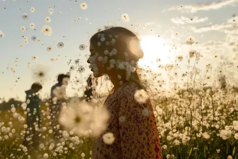 Y aura-t-il des bulletins sur la dissémination des pollens ce printemps ? Le réseau de surveillance va être liquidé