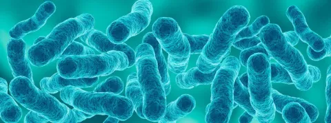 Trois morts suite à une contamination par la légionelle en Pologne, et 71 personnes hospitalisées