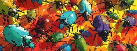 Alerte punaises de lit ! Fermeture temporaire des urgences de l'hôpital de Laon pendant 24 h