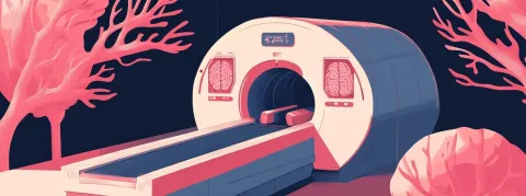 Antilles : l'Autorité de sûreté nucléaire épingle des CHU sur leurs systèmes de radioprotection