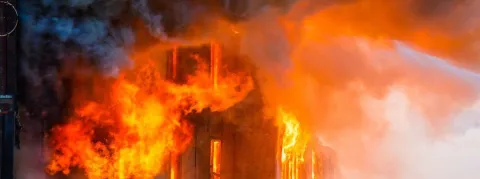 Rien de nouveau en France mais en Guinée le virus de Marburg sévit